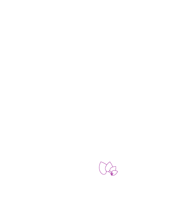 Logos of all festival sponsors